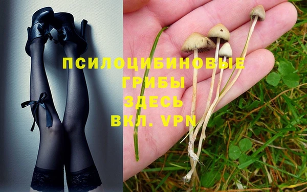 MDMA Premium VHQ Нижневартовск