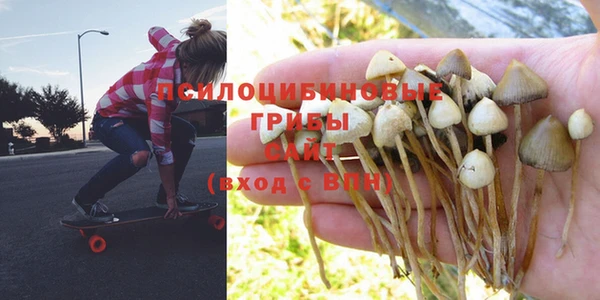 дмт Кострома
