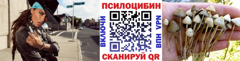 Купить где  Суоярви  Псилоцибиновые грибы ЛСД 