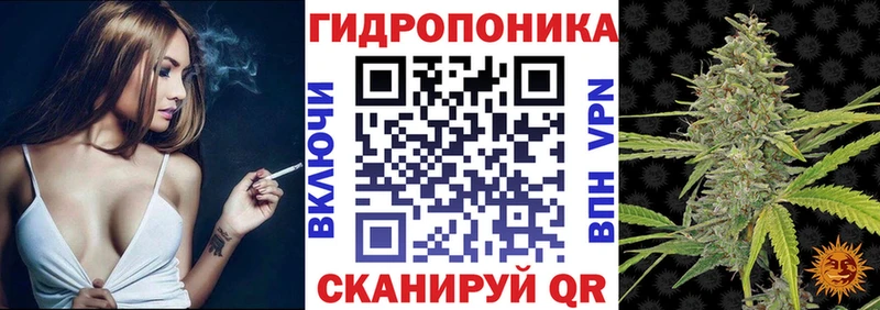 Купить закладки  Суоярви  Бошки марихуана OG Kush 